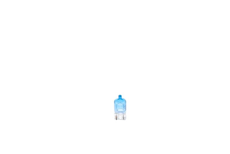 BOSCH Bulb, park/position light 1 987 301 098