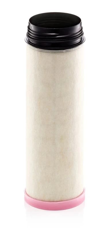 Secondary Air Filter
