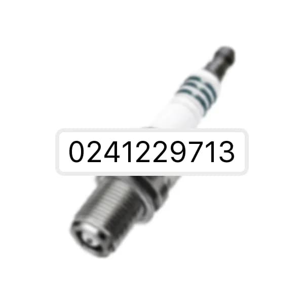 Spark plug