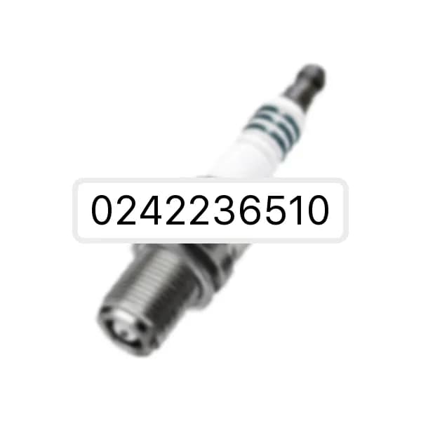 Spark plug