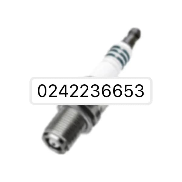 Spark plug