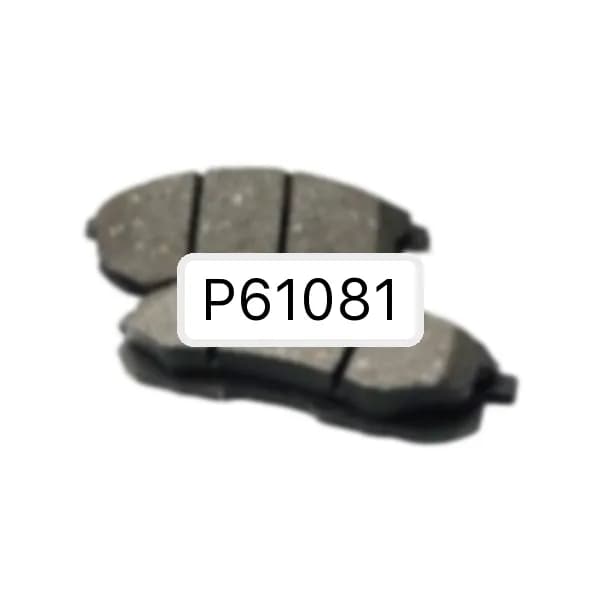 P61081