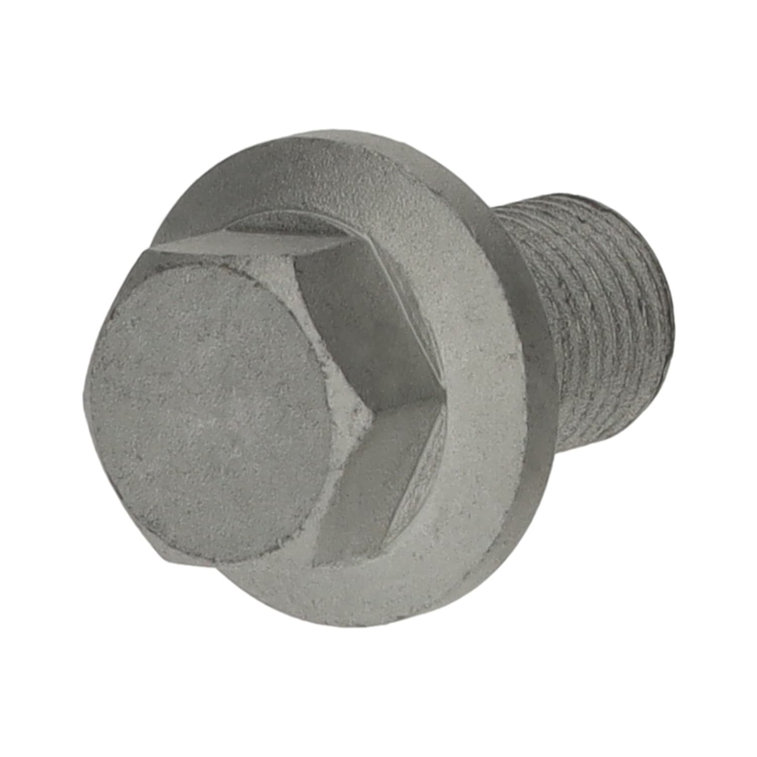 Oil Drain Plug