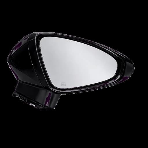 Left Rear View Mirror