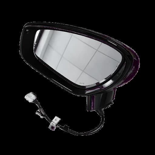 Left Rear View Mirror