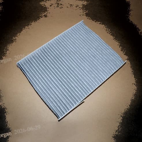 Pollen Filter